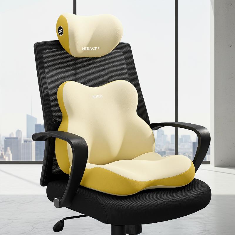 Ensemble de soutien lombaire e - Memory Foam Car Neck Pillow Lumbar Support avis et prix